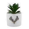 White 1 Pieces Succulent Artificial Plant With Pot