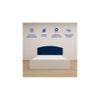 Satya Engineered Wood Queen Size Bed In White Finish