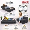 Usha Shriram Folding 2 Seater Double Foam Fold Out Sofa Cum Bed in Dark Grey Colour