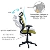 Zeeazyana High Back Ergonomic Chair in Pearl Green Colour