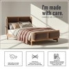 Valerio Duo-Panel Luxe Queen Size Bed in Tuape colour Velvet with Oak wood Frame