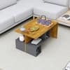 Hexa Engineered Wood Coffee Table With Storage In Giant Wood And Slate Grey