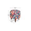 Benjamin Solid Wood  Ottomon in  Multicolor Colour