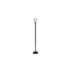 Don Black Glass Shade Floor Lamp