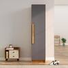 Hexa Red Wooden 1 Door Wardrobe with Huge Storage Space in Giant Wood and Slate Grey Colour