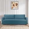 Flycon 3 Pull Out Sofa Cum Bed In T blue Colour