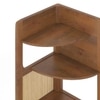Brisa Solid Wood and Cane Corner Bookshelf In Amber Walnut Finish