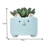 Petite Greens With Cute Cartoon Planter