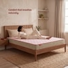 Kurlon Ortho Natural Grid Orthopedic Mattress Firm Queen Size 84x60x5 Inch