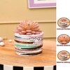 Sucullent Artificial Plant With Horizontal Multicolored Stripes Along With Pot
