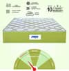 Peps Springkoil Ortho Luxe 8 Inch Pocket Spring Latex Foam Mattress Single 75x30