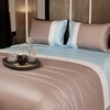 Stoa Paris 300TC UltrSatin King Size Bedsheet with 2 Pillow Covers Satin King Blue Champagne