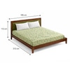 Lumina Solid Wood Kids  Size Upholstered Bed Without Storage (Teak Finish)