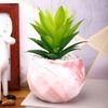 Pink 1 Pieces Aloe Vera Artificial Plant With Pot