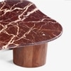 Ollo Solid Wood Coffee Table in Brown Colour