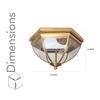 Optica Brass Ceiling Light