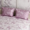 Stoa Paris Super King Size Cotton Bedsheet with 2 Pillow Covers  Size Blushwood Pink
