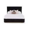 Opus Engineered Wood Queen  Size Bed With Hydraulic Storage (Walnut Brown Finish)