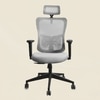 Ignis Grey Ergonomic Study Chair