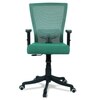 Ebeaony Mid Back Ergonomic Chair in Dark Green Colour
