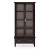 Malabar Bookshelf Display Cabinet 55 book Capacity in Mango Mahogany Finish