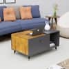 Hexa Engineered Wood Center Table With Storage And Open Rack In Slate Grey And Giant Wood