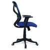 Zeeazyana Mid Back Ergonomic Chair in Blue Colour