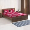 Sophia Bedsheets- Single