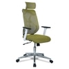 Wiweangs High Back Ergonomic Chair in Pearl Green Colour