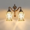 Devansh Metal Electric Wall Light in Multi Colour with Multi Shade Count of 2 Lights