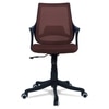 Ddeasirea Mid Back Ergonomic Chair in Brown Colour