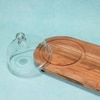 Ireka Homes Dome n Dime Acacia Wood Cake Stand with Glass Dome