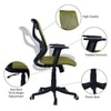 Zeeazyana Mid Back Ergonomic Chair in Pearl Green Colour