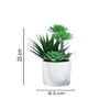 Artificial Succulent Indoor Plant With Ceramic Pot
