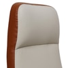Ettorez Lexus Hb Ultra Premium Leatherette Office Chair In Cream And Tan