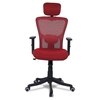 Dreaceo High Back Ergonomic Chair in Red Colour