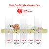 Twin Plus Latexo Dual Comfort Memory Foam Mattress
