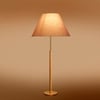 Devansh Wood & Metal Floor Lamp