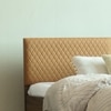 Satya Engineered Wood Queen  Size Bed With Box Storage (Walnut Finish)