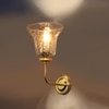 Devansh Metal Electric Wall Light in gold Colour with Transparent Shade Count of 1 Light
