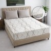 Eon Cream Abstract 400 TC Cotton Fitted Super King Size Bedsheet with 2 Pillow Covers – Threads