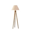 Devansh Tripod Floor Lamp