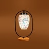 Devansh Multicolor Glass Wooden & Iron  Table Lamp -17 Inch Height  -Lpo