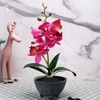 Grey 1 Pieces Orchid Artificial Plant With Pot