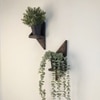 Camilla Wooden Wall Decor