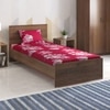 Sophia Bedsheets- Single