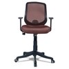 Xxeana Low Back Ergonomic Chair in Brown Colour
