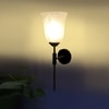 Devansh Metal Electric Wall Light in black Colour with White Shade Count of 1 Light
