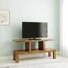 Andy TV Unit