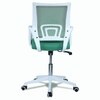 Naamikoa Mid Back Ergonomic Chair in Dark Green Colour